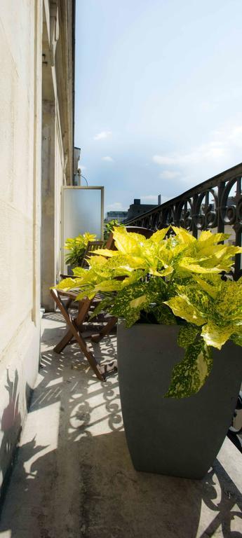 Appartement Supérieur 1 Chambre